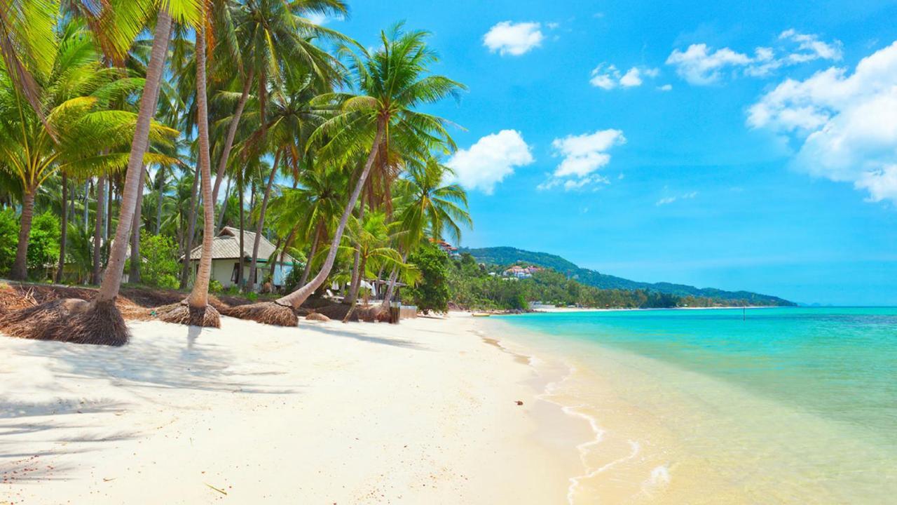 Samui Blue Bird Acomodação com café da manhã Mae Nam Beach Exterior foto