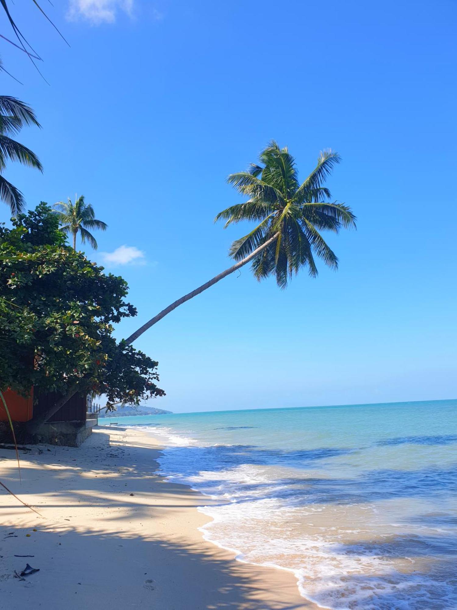 Samui Blue Bird Acomodação com café da manhã Mae Nam Beach Exterior foto