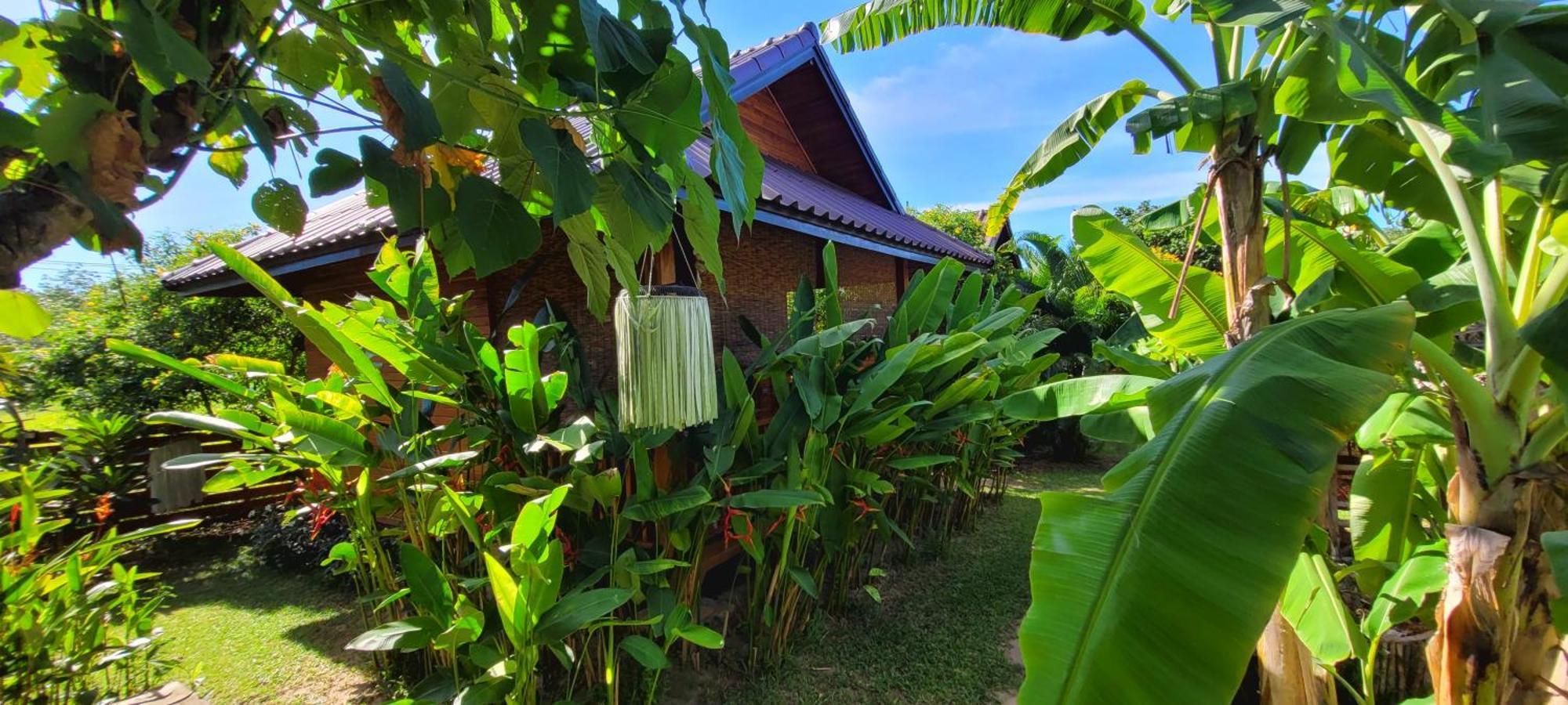 Samui Blue Bird Acomodação com café da manhã Mae Nam Beach Exterior foto