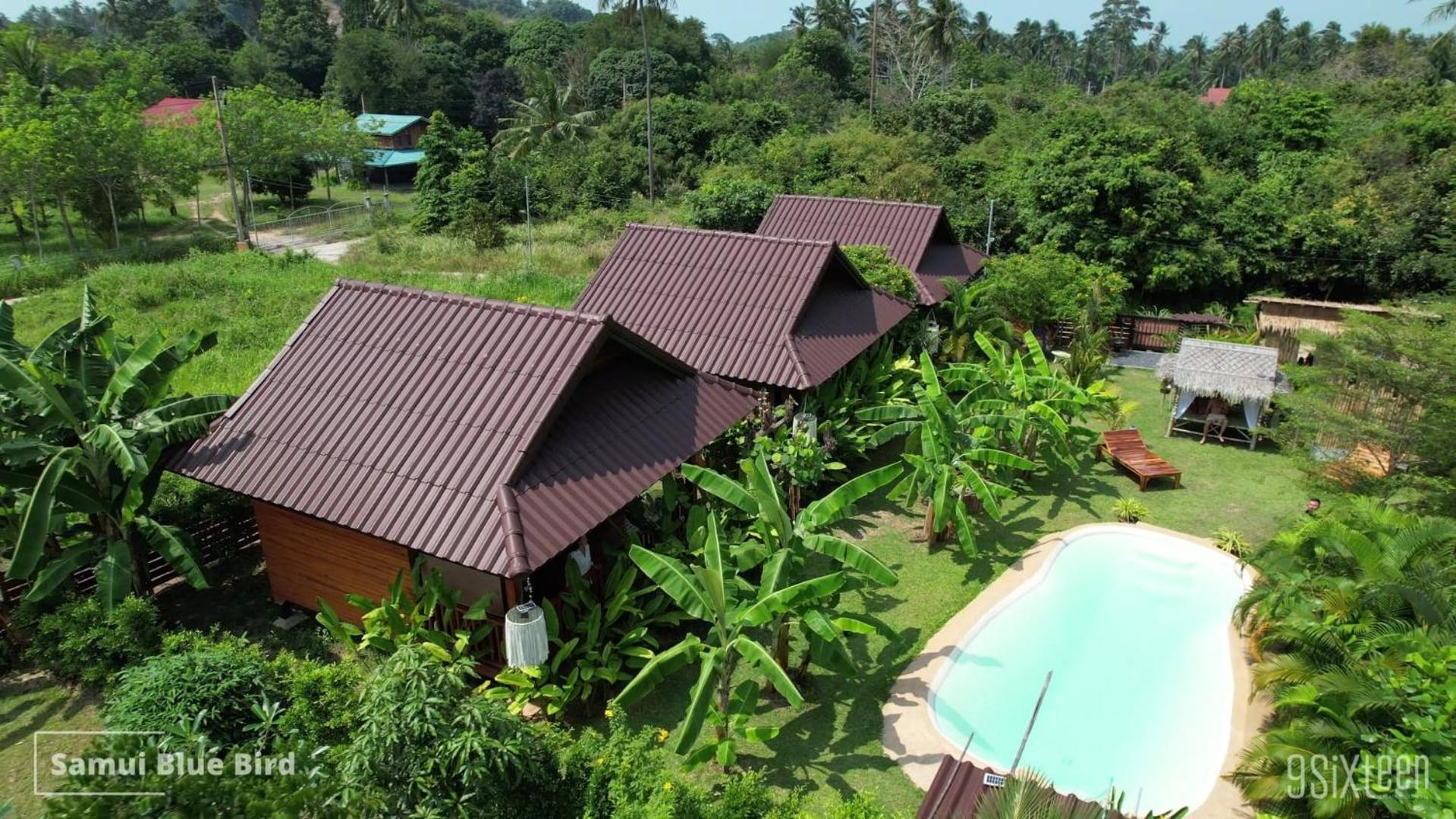 Samui Blue Bird Acomodação com café da manhã Mae Nam Beach Exterior foto